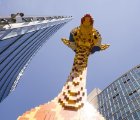 DSC08856_Export.jpg