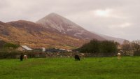 DSC00470-Bearbeitet_Export.jpg