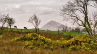 Irland April 2017