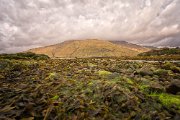 DSC00623-Bearbeitet.jpg