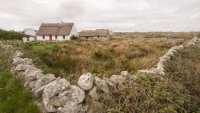 DSC00653-Bearbeitet.jpg