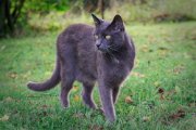 DSC02289_openWith.jpg