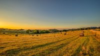 DSC00685-Edit.jpg