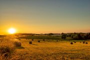 DSC00686-Edit.jpg