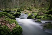 DSC08497.jpg