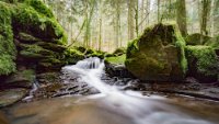Monbachtal