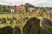 DSC09871-Bearbeitet.jpg