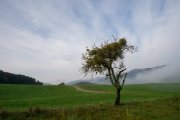 DSC09888.jpg