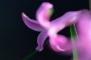 DSC03077.jpg