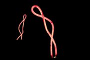 Winterlichter