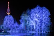 Winterlichter