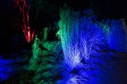 Winterlichter