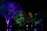 Winterlichter