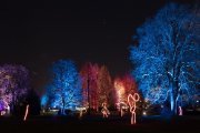 Winterlichter